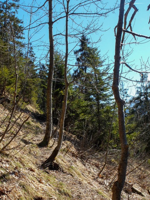 Schattenberg_Aufstieg