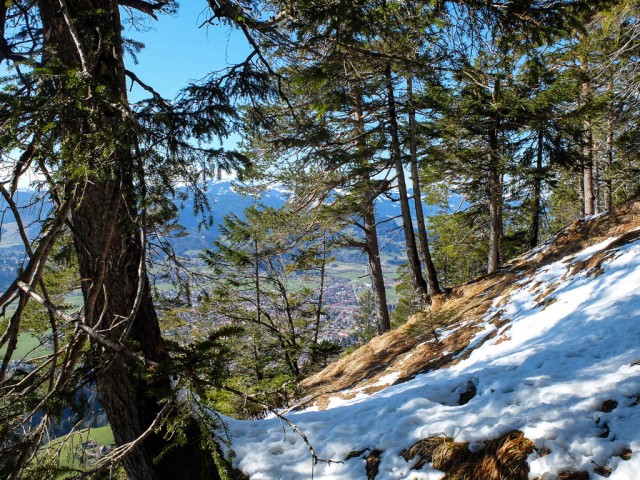 Schattenberg_Aufstieg_2