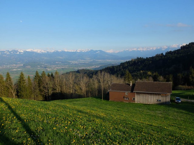 Blick_ins_Rheintal_2