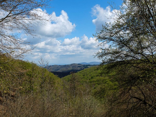 Traumschleife_Baerenbachpfad_Donnersberg