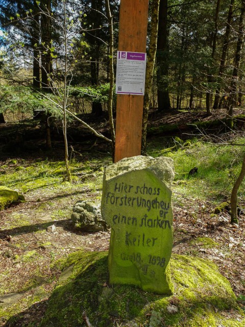 Traumschleife_Baerenbachpfad_Ungeheuerstein