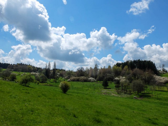 Traumschleife_Baerenbachpfad_Wiesen