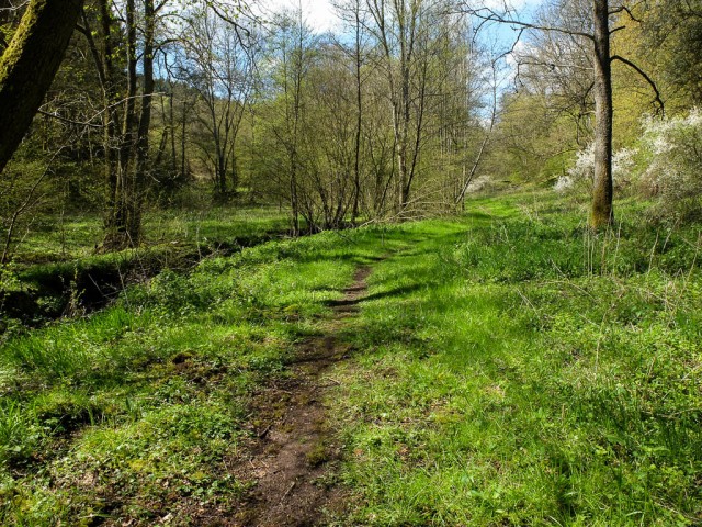 Traumschleife_Baerenbachpfad_Wiesenpfad