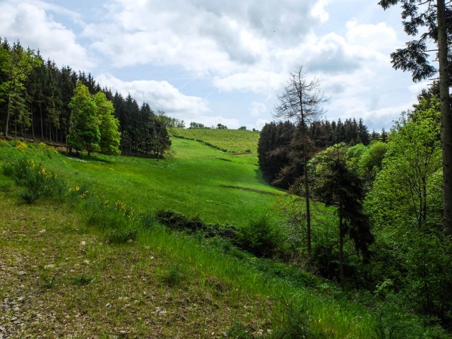 Eifel_Landschaft_1