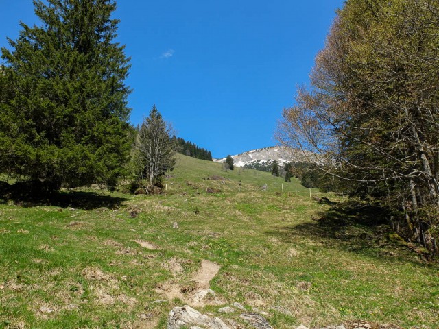 Engeratsgundsee_Aufstieg_2