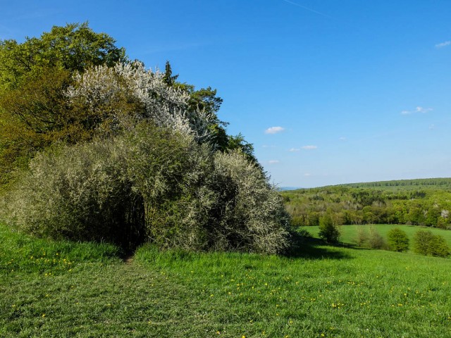 Traumschleife_Mannebach_111_2