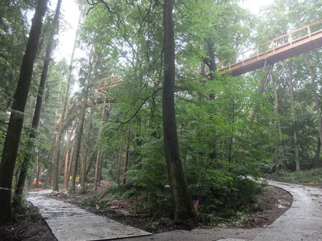 Projekt_Baumwipfelpfad_Saarschleife_2