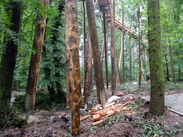 Projekt_Baumwipfelpfad_Saarschleife_3