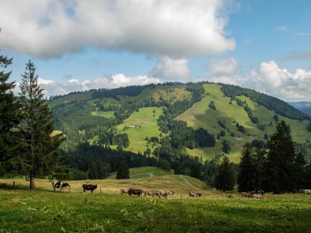 Premiumweg_Luftiger_Grat_1