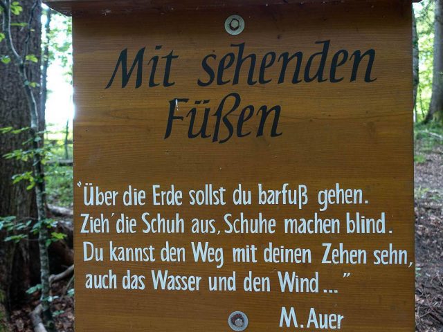 Spruch_M._Auer