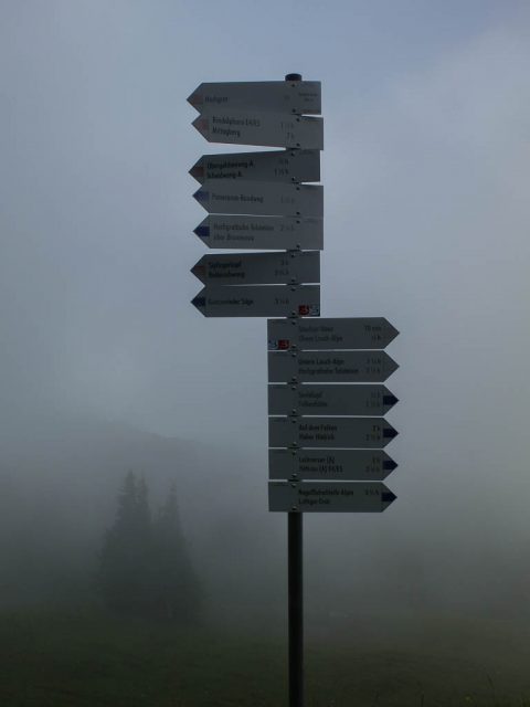 Wegweiser_im_Nebel