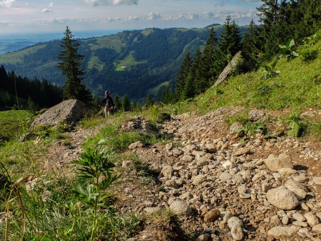 Abstieg_Brunnenauscharte_2