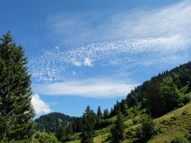 Abstieg_Hoher_Haederich