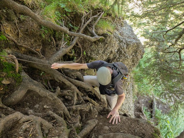 Auf_dem_Weg_zum_Hohen_Haederich_1