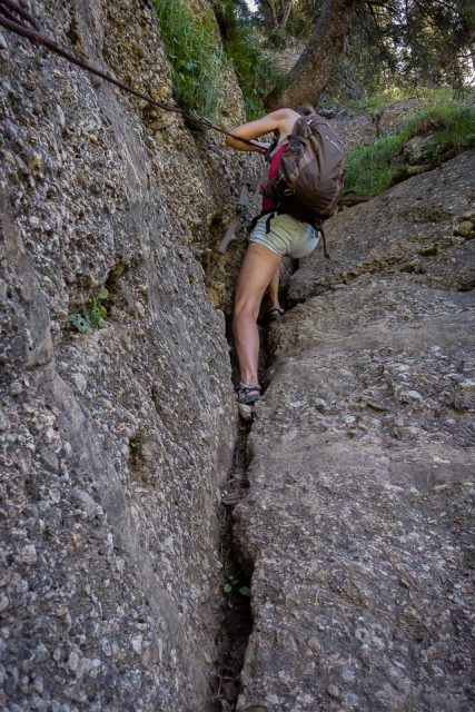 Auf_dem_Weg_zum_Hohen_Haederich_2