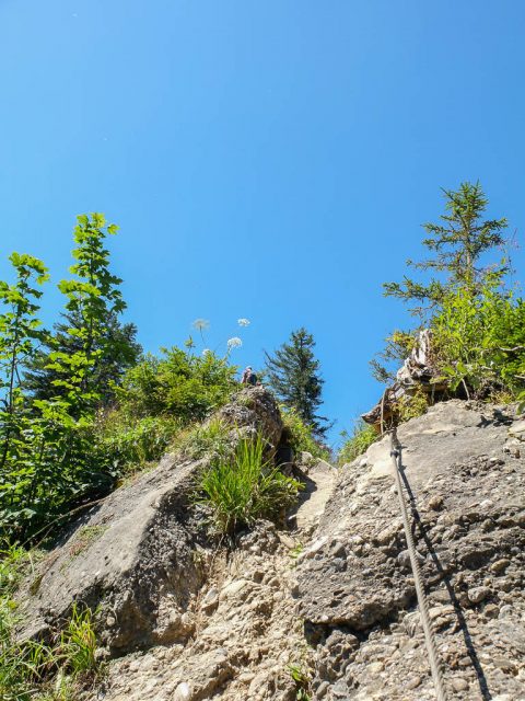 Auf_dem_Weg_zum_Hohen_Haederich_3