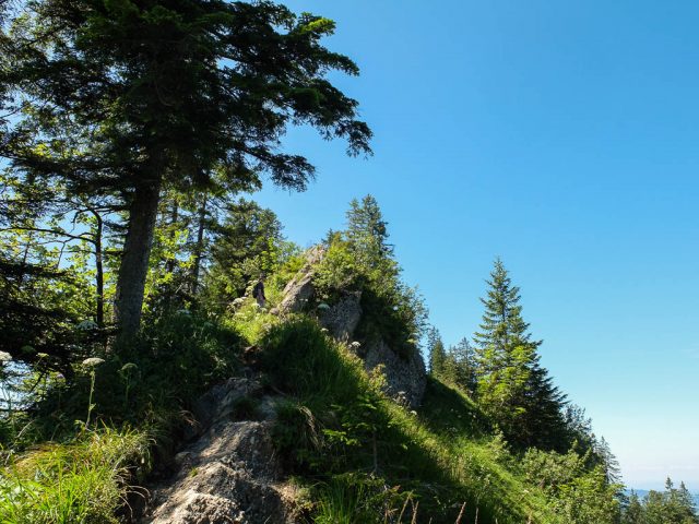 Auf_dem_Weg_zum_Hohen_Haederich_4