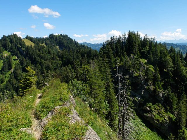 Auf_dem_Weg_zum_Hohen_Haederich_5