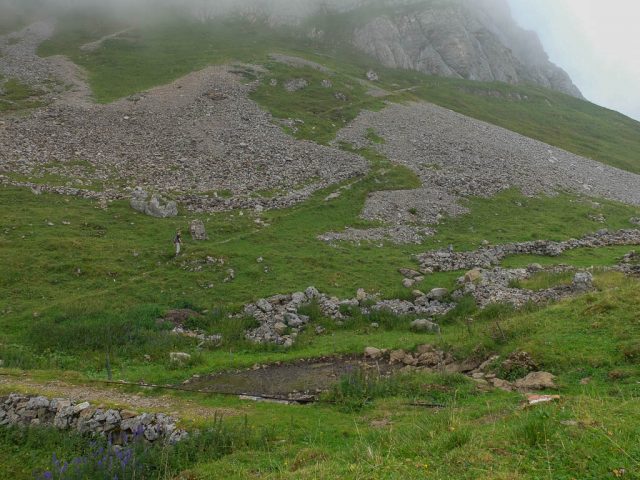 Aufstieg_Altenalp_Schaefler_1