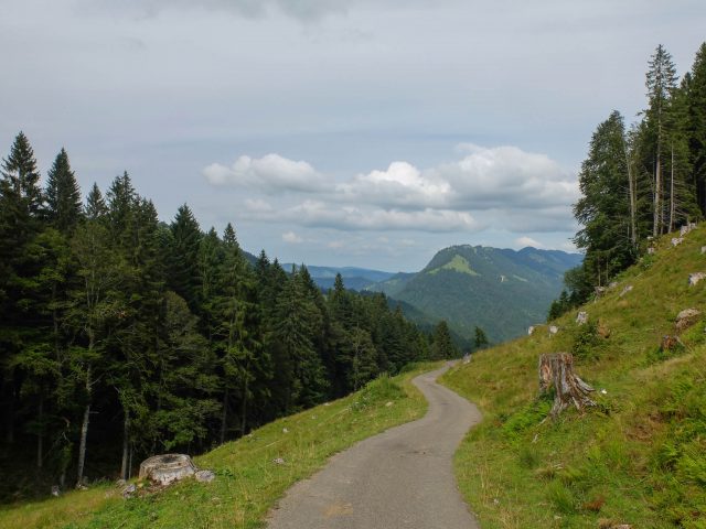 Blick_auf_den_Prodel