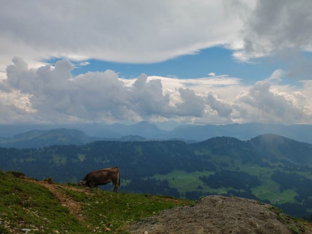Hochgrat_Panorama_mit_Wolken