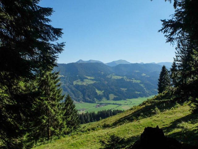 Hochgrat_Rindalphorn