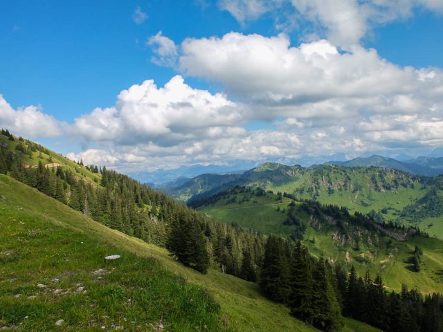Hochgrat_Weg_zur_Gelchenwang_Alpe_1