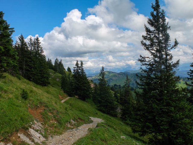 Hochgrat_Weg_zur_Gelchenwang_Alpe_2