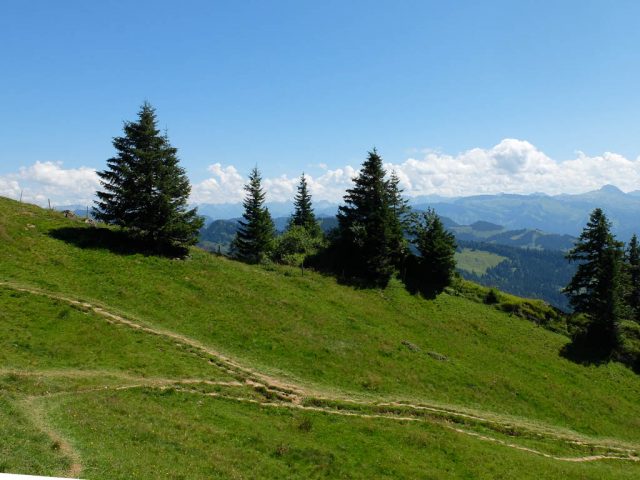 Hoher_Haederich_Abstieg