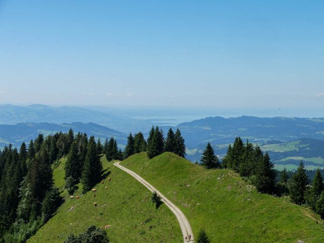 Hoher_Haederich_Blick_auf_den_Bodensee