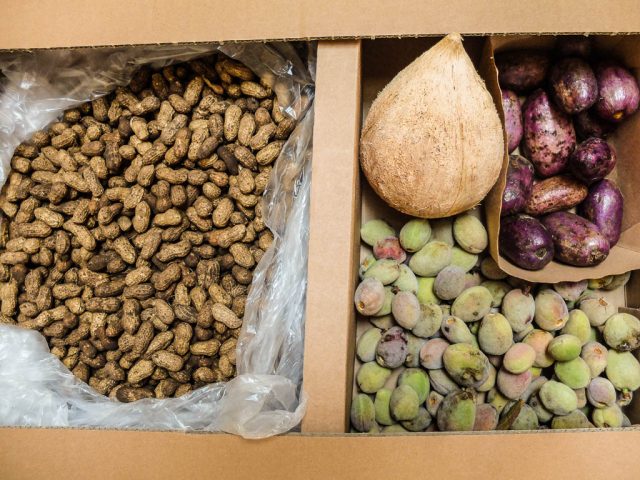 Lieferung_Orkos_Erdnuesse_Mandeln