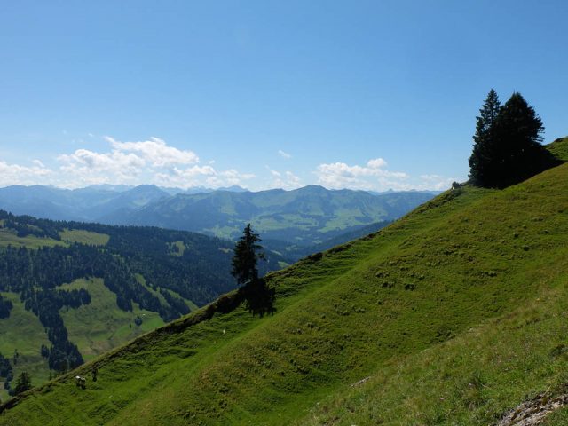 Panorama_Seelekopf_2