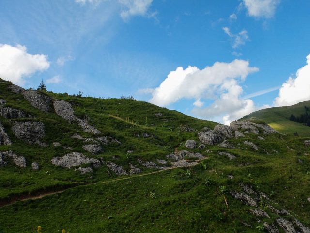 Weg_Gelchenwang_Alpe_Brunnenauscharte_1