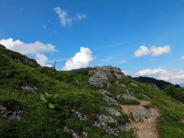 Weg_Gelchenwang_Alpe_Brunnenauscharte_2