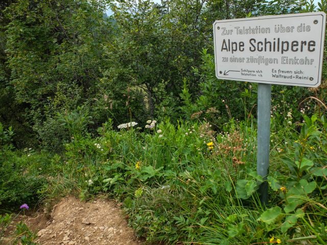 Weg_zur_Alpe_Schilpere_1