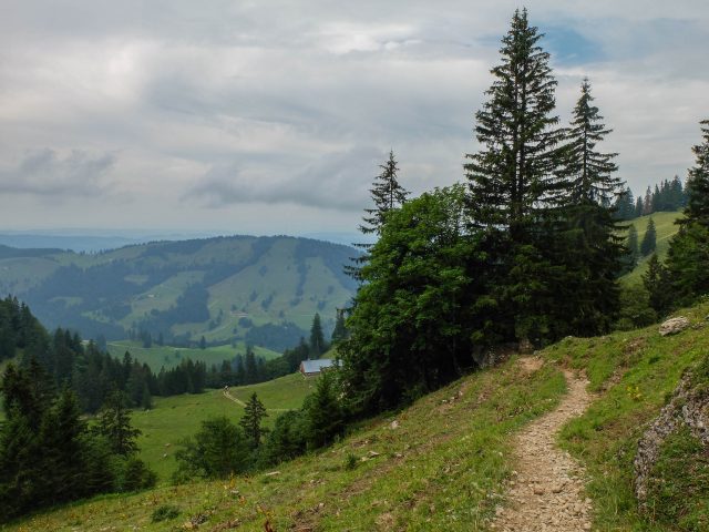 Weg_zur_Alpe_Schilpere_3