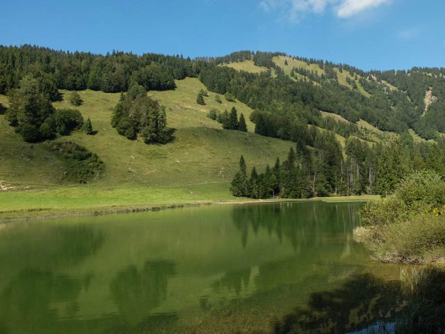 lecknersee_1