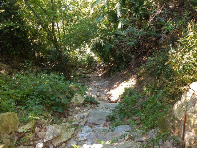 Orselina_Wanderweg_2