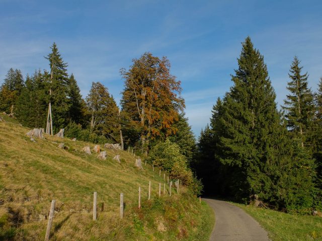 steinebachtal