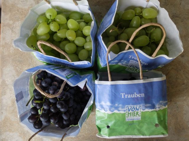 trauben_hell_und_dunkel