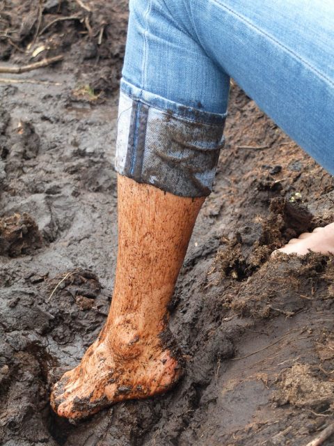 versunken_im_hochmoor_3