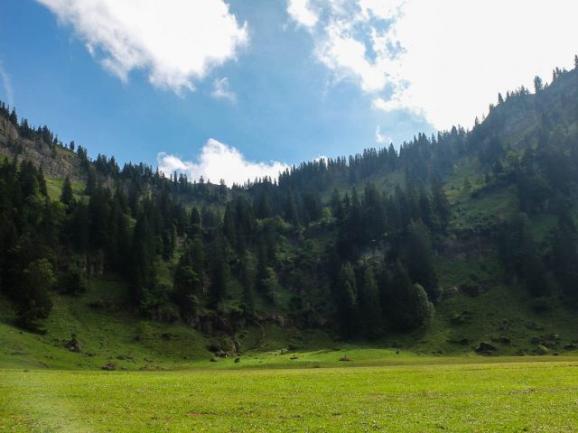 Weideflaeche_Seelealpe