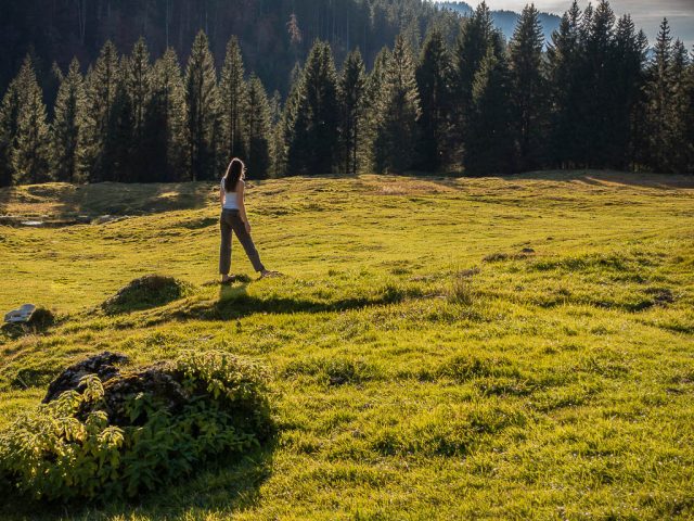 auf_den_weiden_der_unteregg_alpe