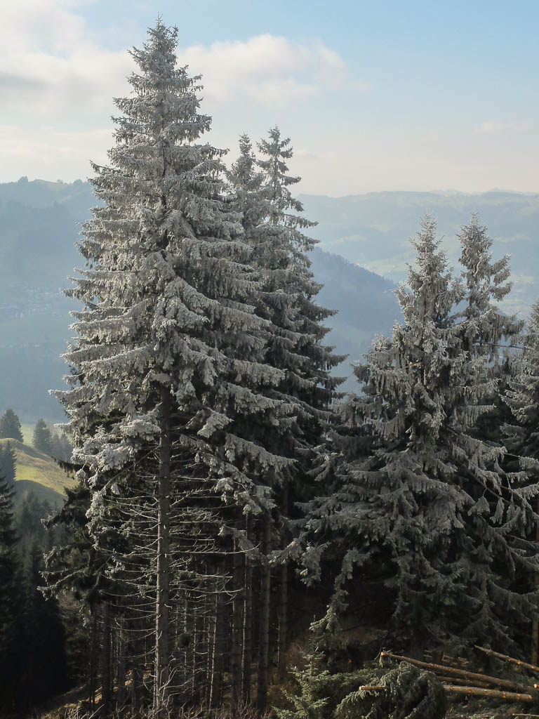 Freundlich, aber eiskalt und stürmisch