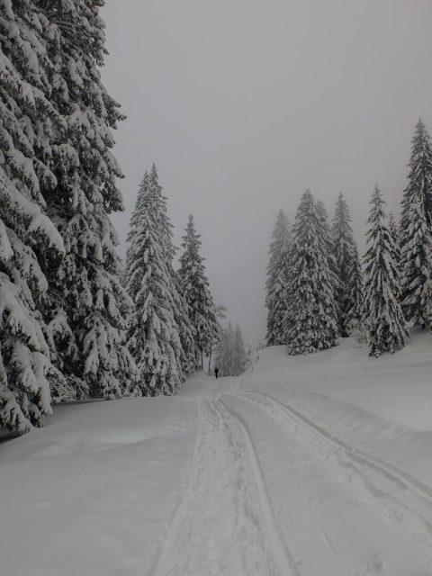 hochgrat_wanderweg_winter