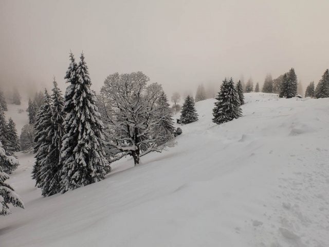 hochgrat_winterwanderung