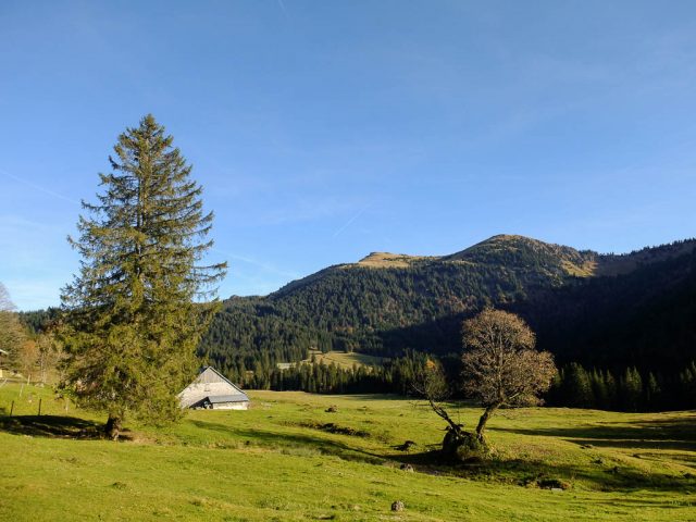 nagelfluh_kette_unteregg_alpe_