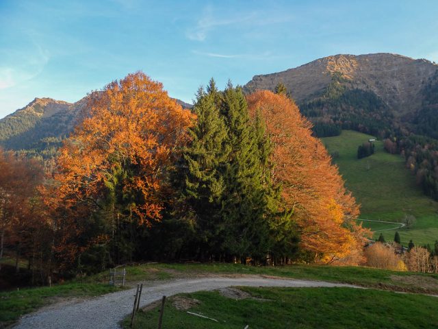 nagelfluhkette_herbst