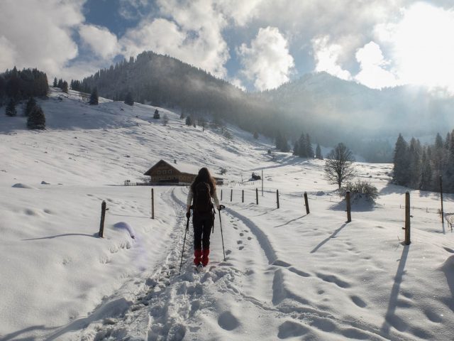 weg_zur_unteren_lauch_alpe