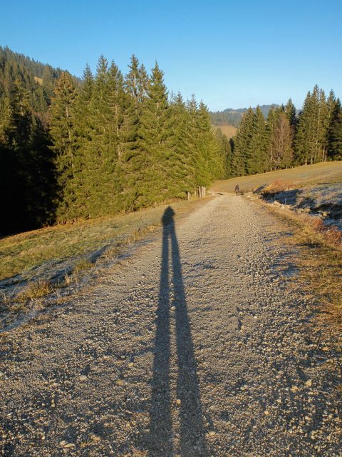 schatten_auf_dem_weg